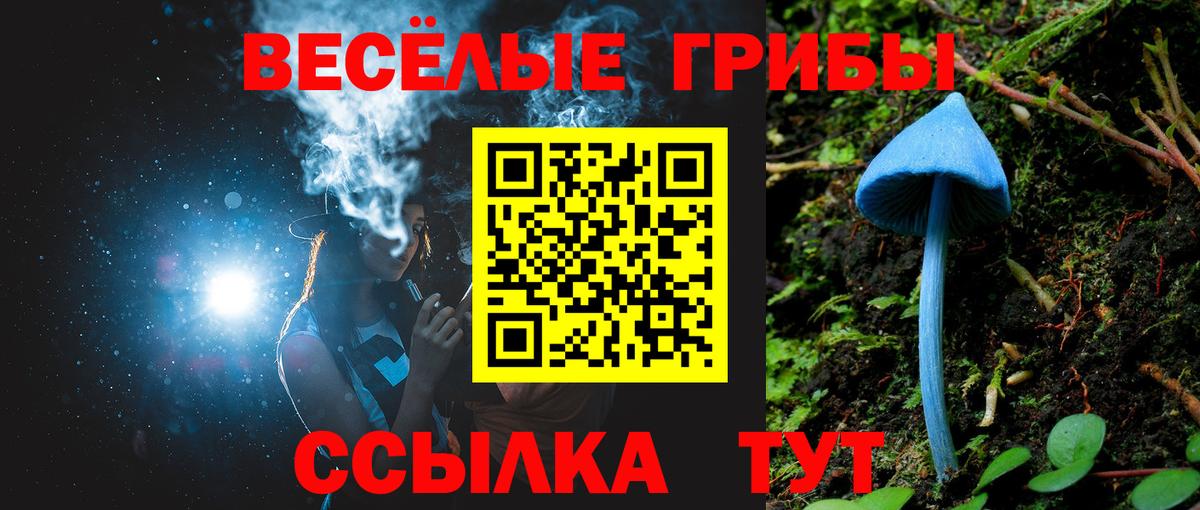 Кирово-Чепецк  наркошоп  Галлюциногенные грибы Cubensis  Вход с VPN  Галлюциногенные грибы ЛСД 